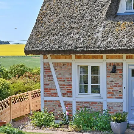 - 7 Appartement