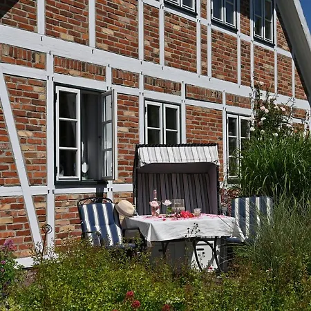 - 7 * Vilmnitz