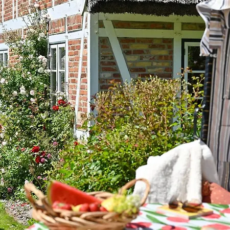 - 7 Apartament Vilmnitz